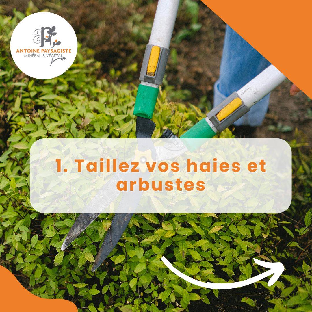 Taillez vos haies et arbustes