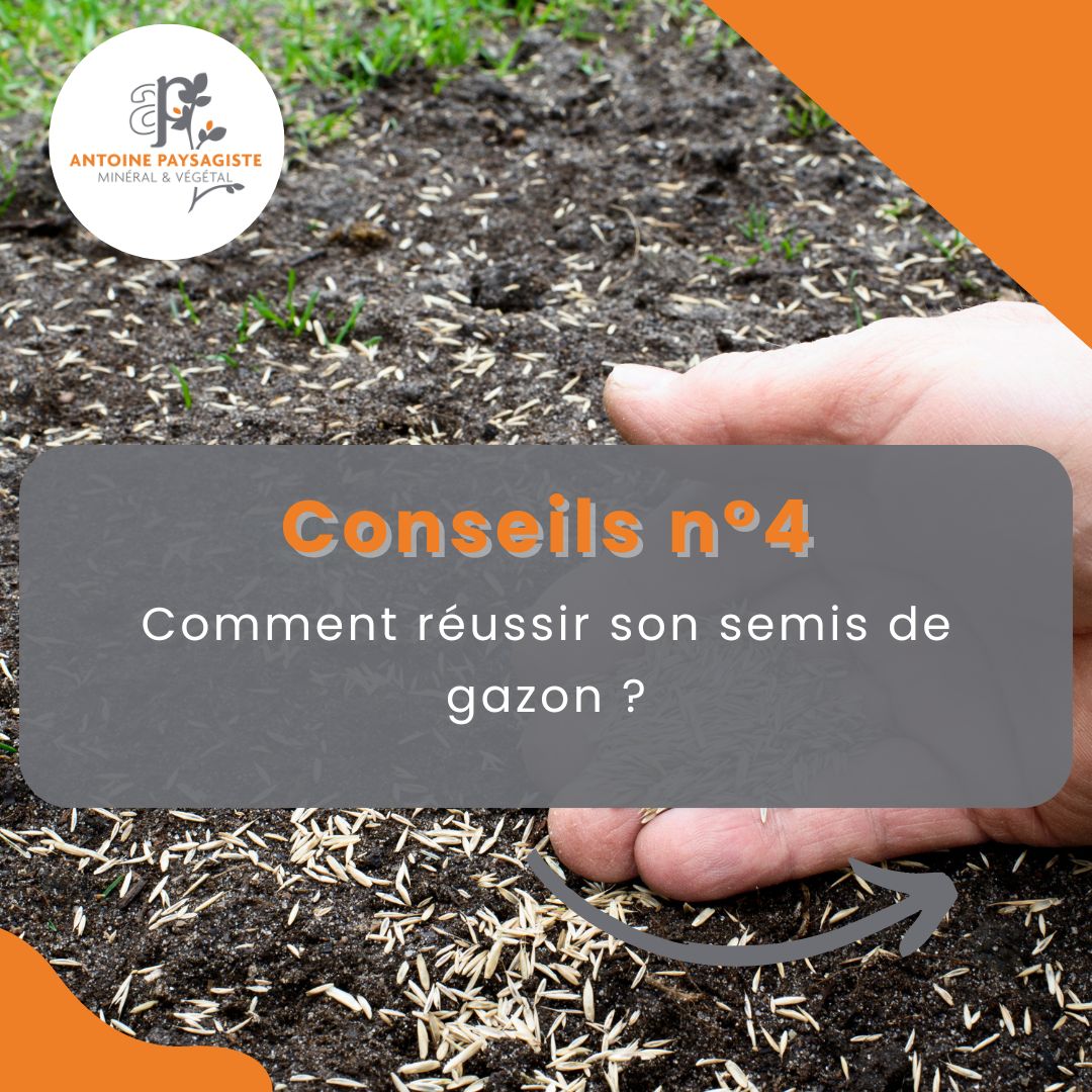 Comment réussir son semis de gazon