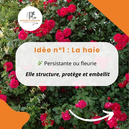 La haie