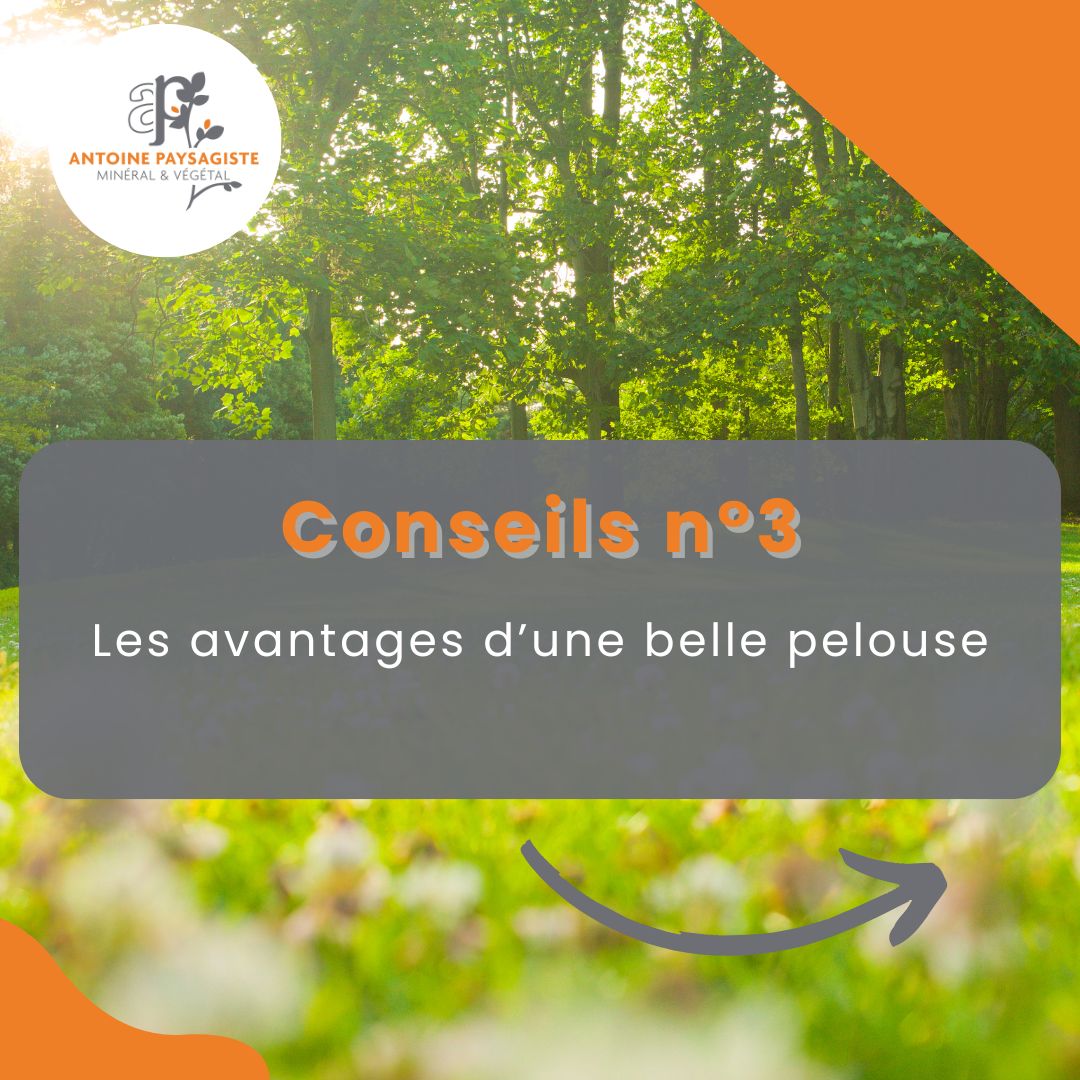 Les avantages d’une belle pelouse