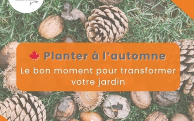 Planter à l’automne : le bon moment pour transformer votre jardin 🌿