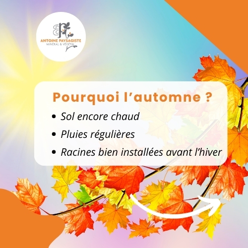 Pourquoi l’automne