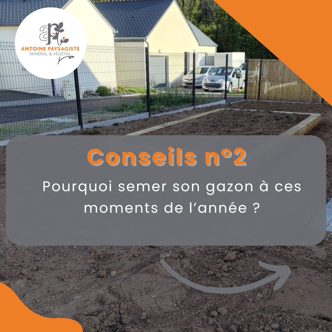 Pourquoi semer son gazon à ces moments de l’année