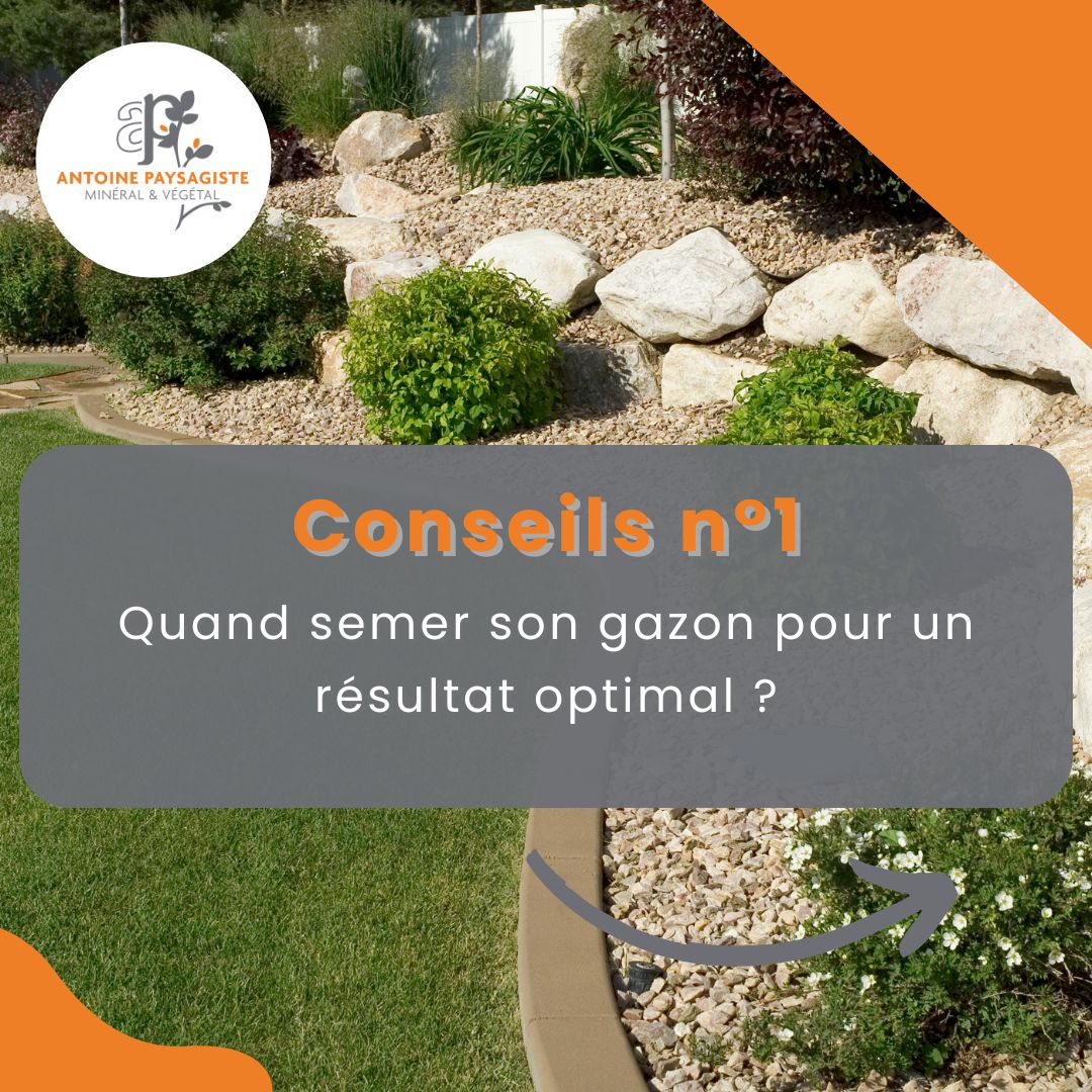 Quand semer son gazon pour un résultat optimal