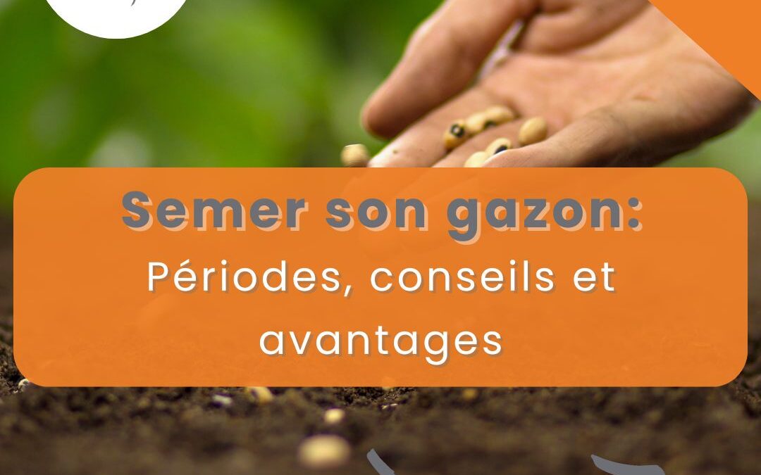 Semer son gazon en Bretagne : périodes, conseils et avantages