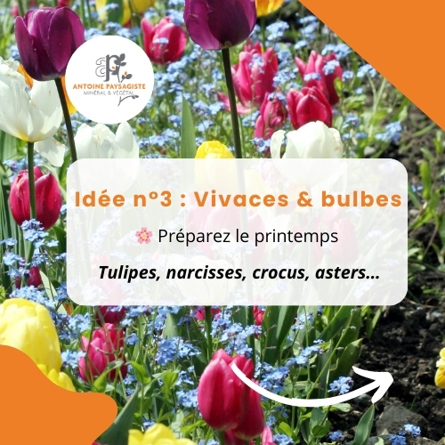 Vivaces & bulbes